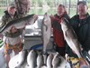 (08/19/2015) - Nice Striped Bass